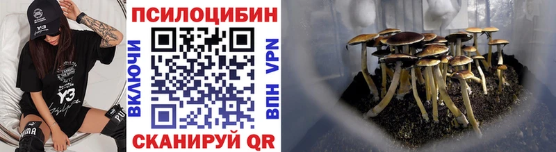 Галлюциногенные грибы Psilocybe Протвино